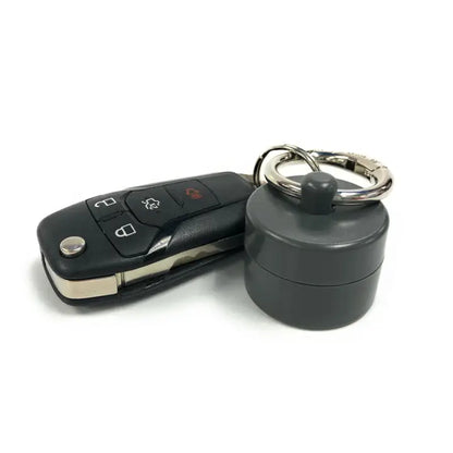 Lion Latch Jewelry Keeper- Steel Grey