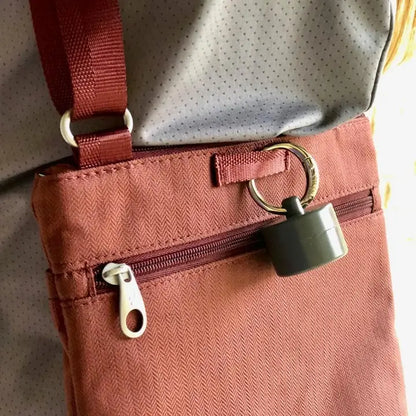Lion Latch Jewelry Keeper- Steel Grey